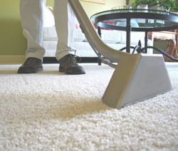 Carpet Cleaning